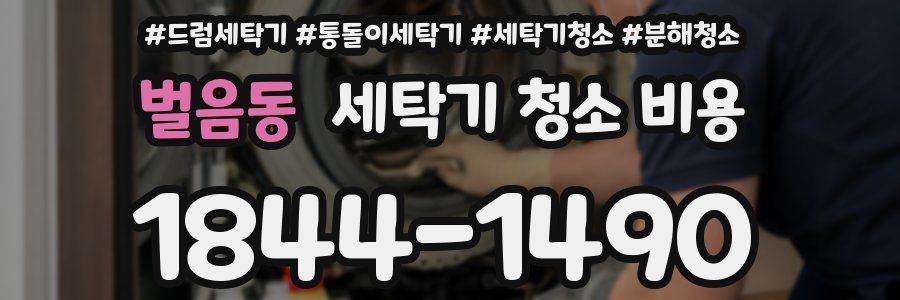 벌음동 세탁기 청소 비용