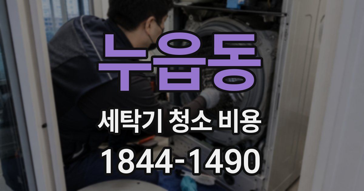 누읍동 세탁기 청소 비용