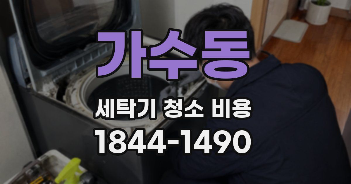 가수동 세탁기 청소 비용