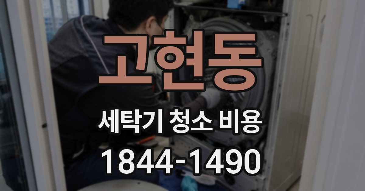 고현동 세탁기 청소 비용