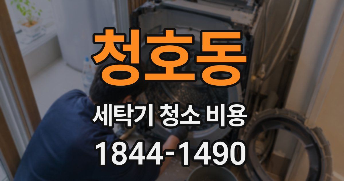 청호동 세탁기 청소 비용