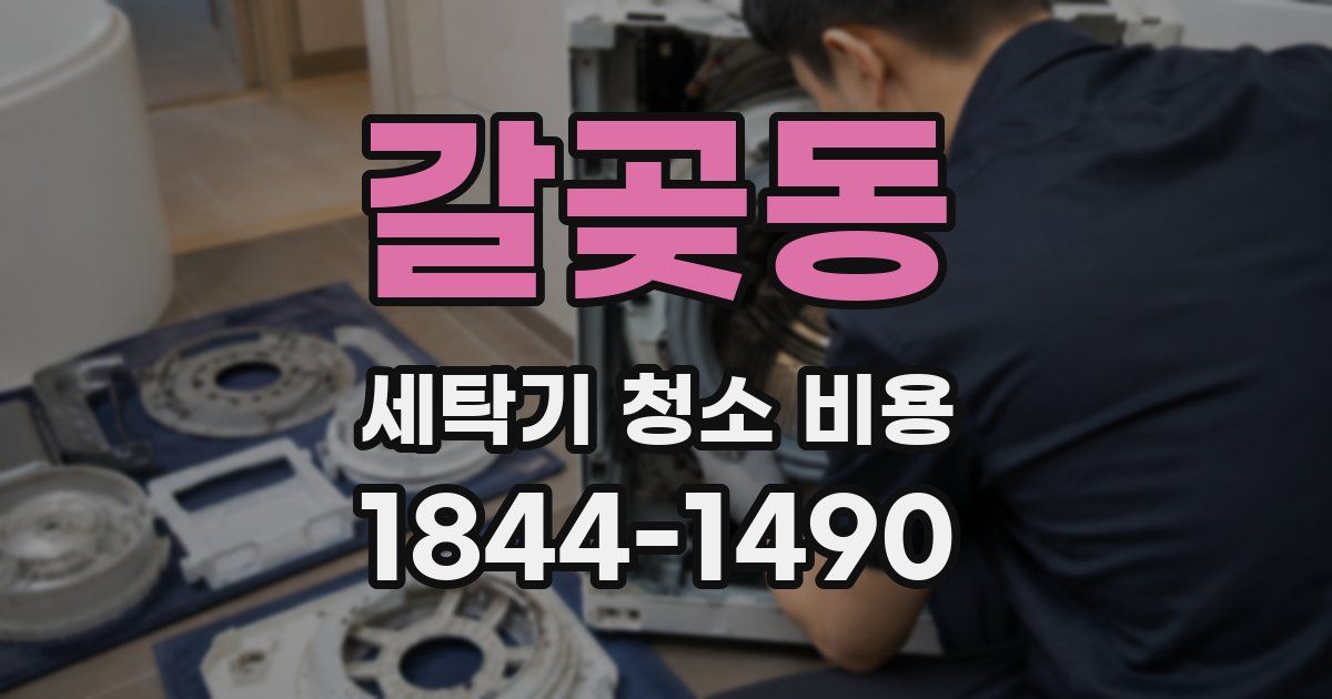 갈곶동 세탁기 청소 비용