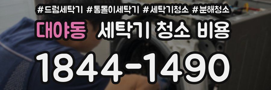 대야동 세탁기 청소 비용