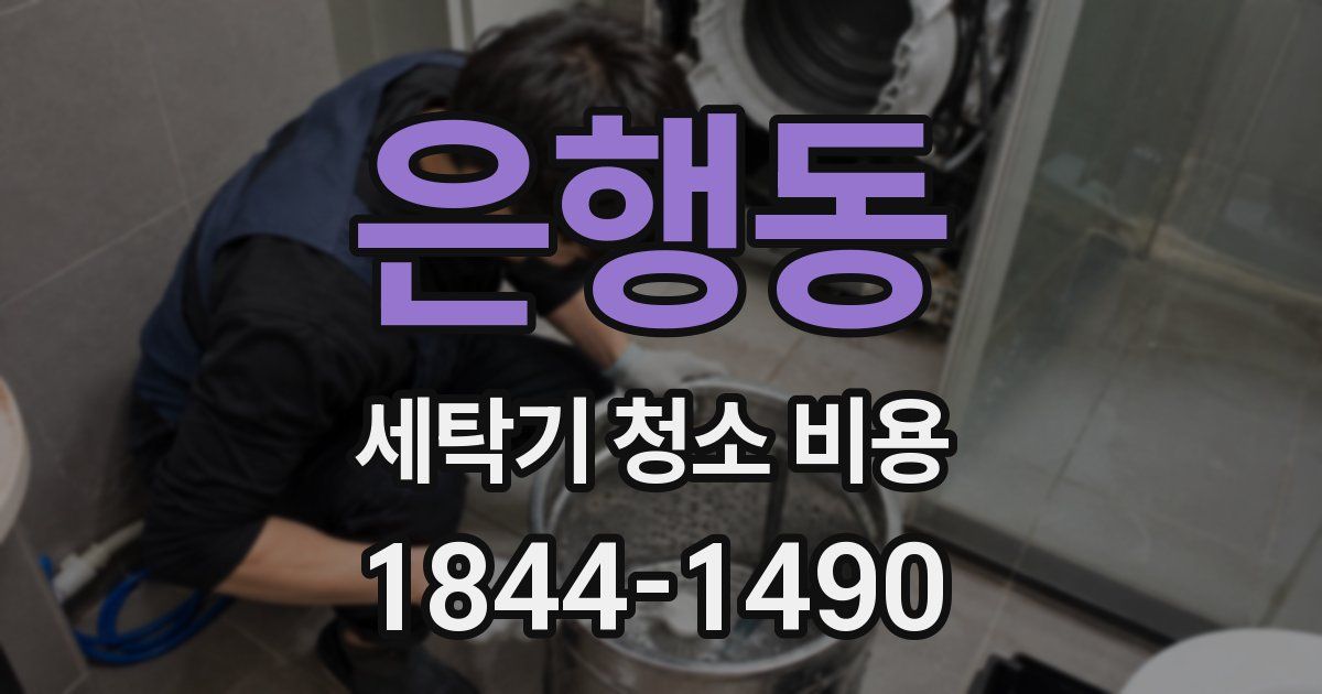 은행동 세탁기 청소 비용