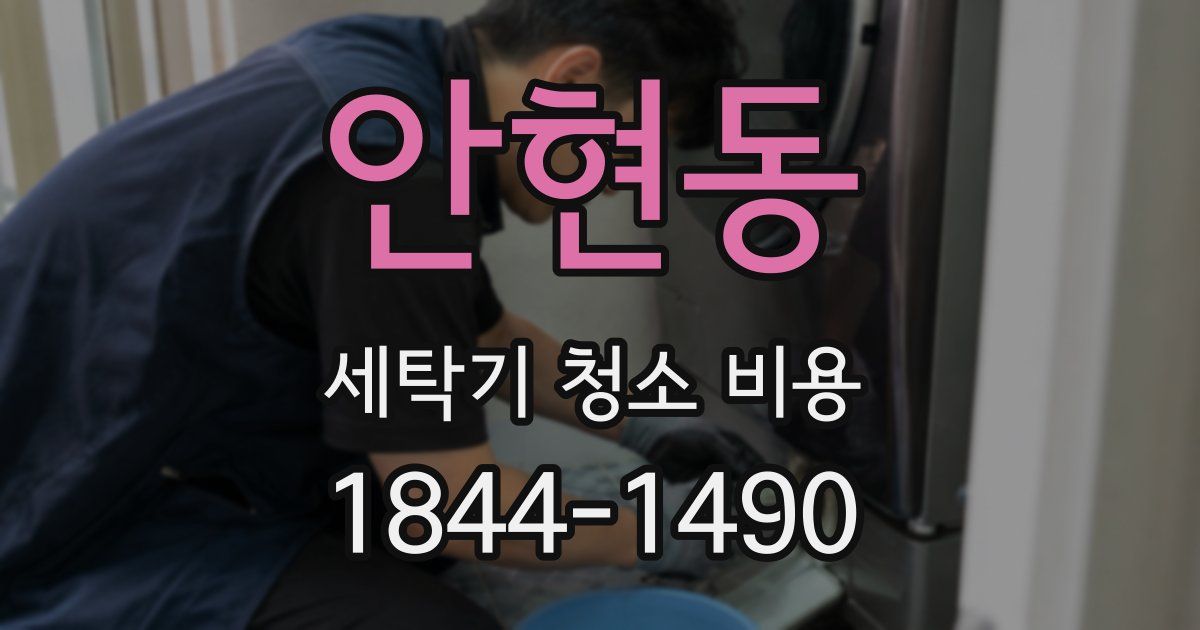 안현동 세탁기 청소 비용