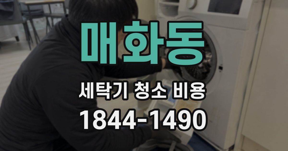 매화동 세탁기 청소 비용