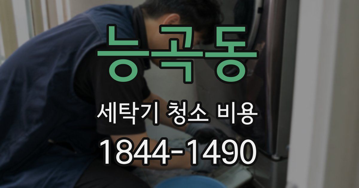 능곡동 세탁기 청소 비용