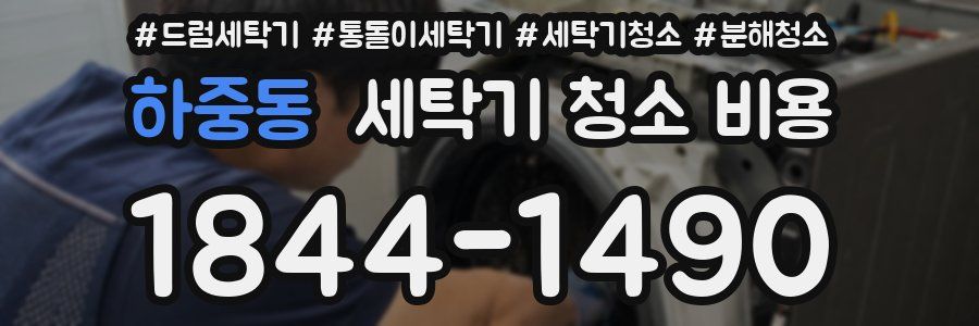 하중동 세탁기 청소 비용