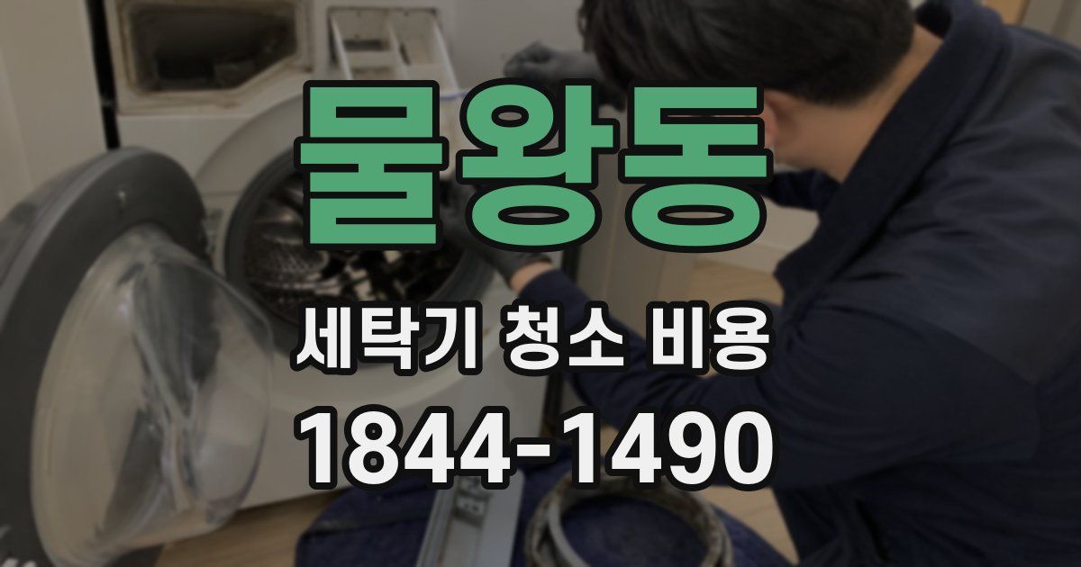 물왕동 세탁기 청소 비용