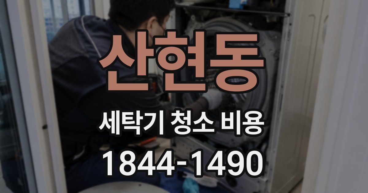 산현동 세탁기 청소 비용