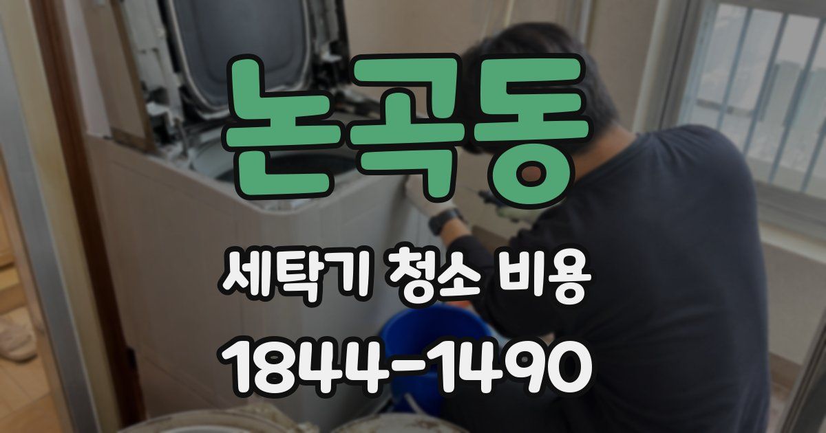 논곡동 세탁기 청소 비용