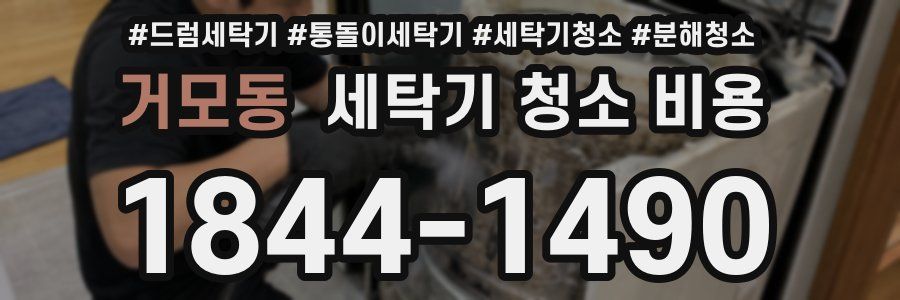 거모동 세탁기 청소 비용