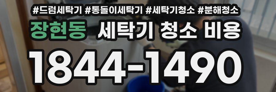 장현동 세탁기 청소 비용