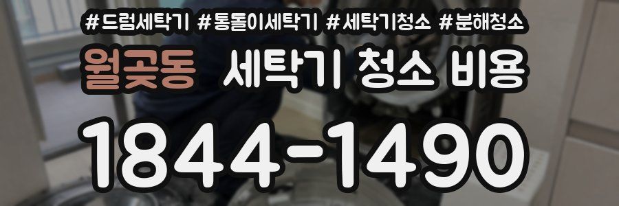 월곶동 세탁기 청소 비용