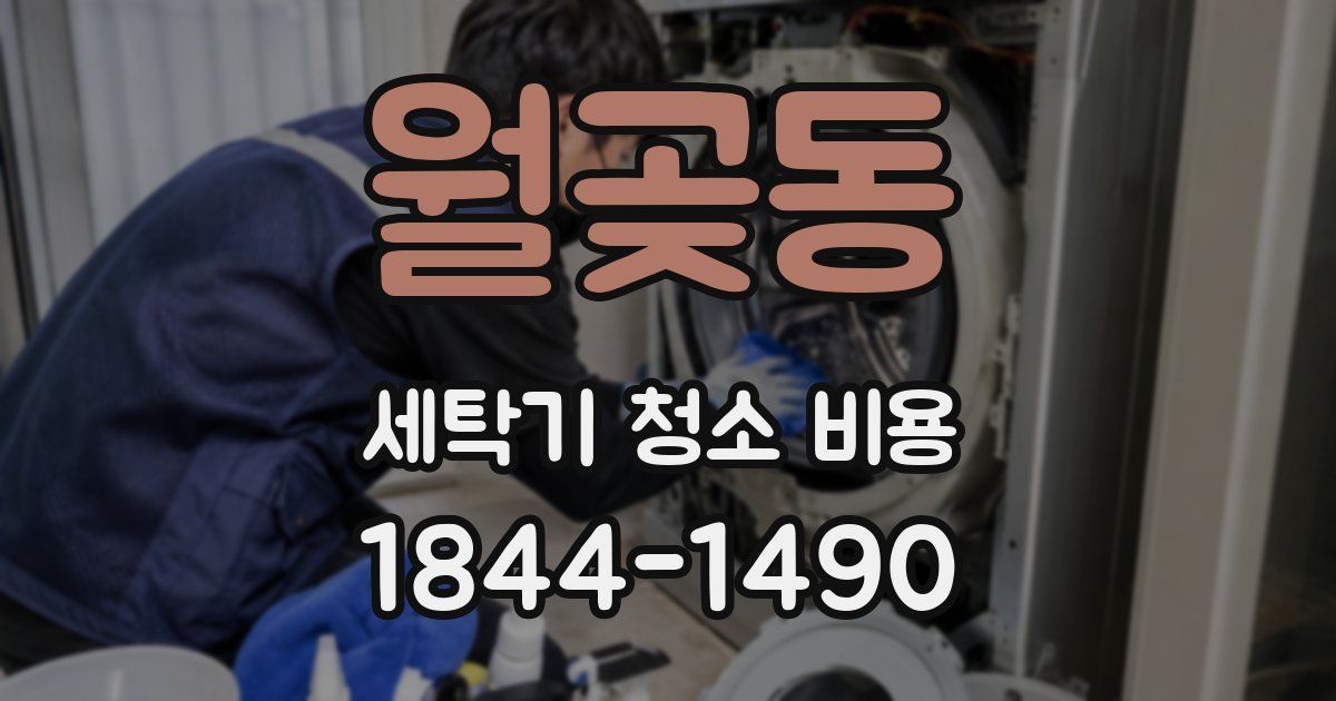 월곶동 세탁기 청소 비용