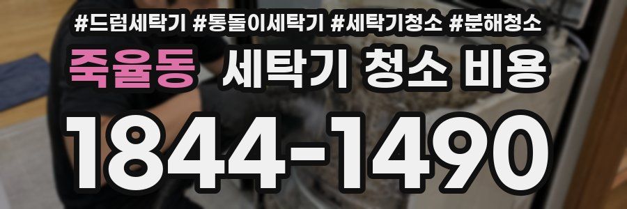 죽율동 세탁기 청소 비용