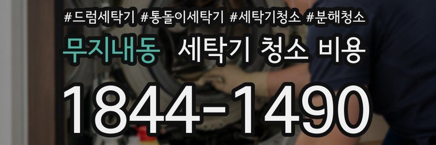 무지내동 세탁기 청소 비용