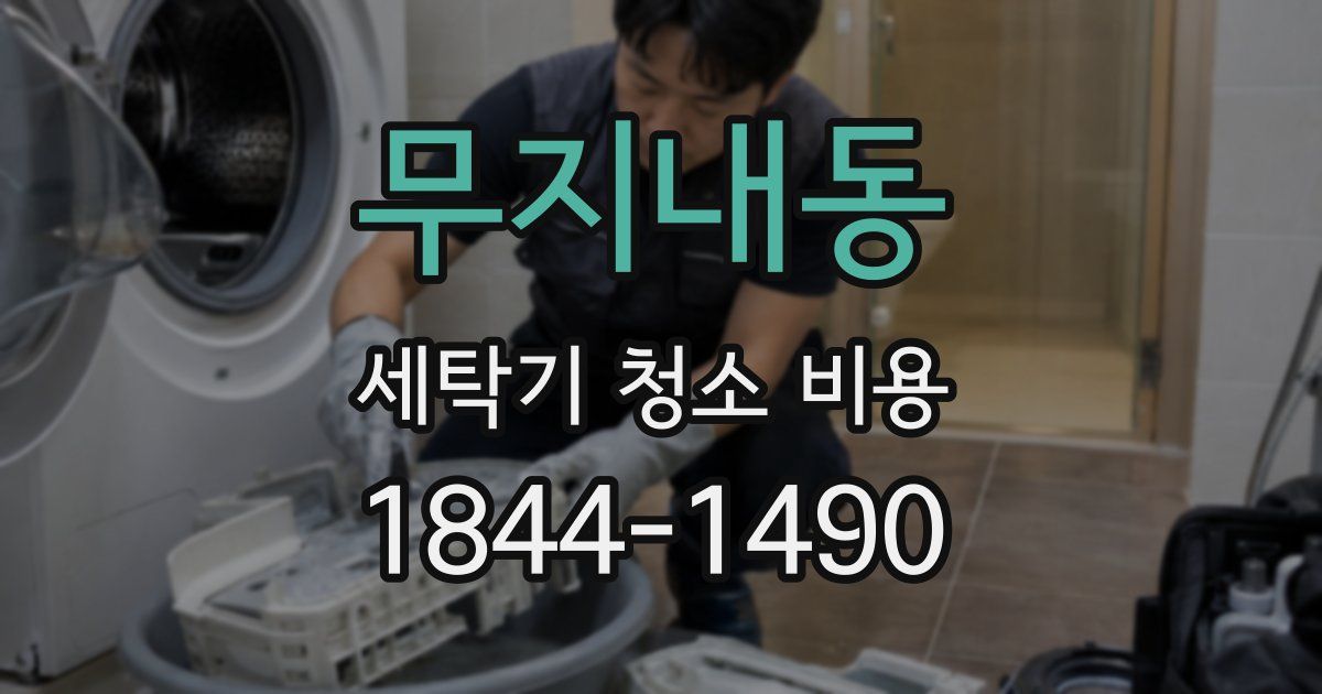 무지내동 세탁기 청소 비용
