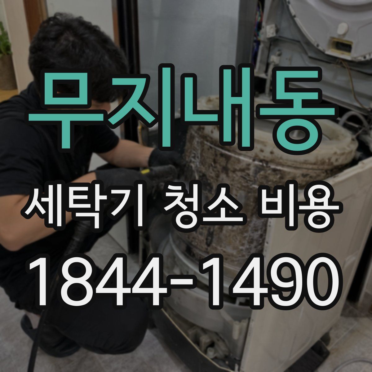 무지내동 세탁기 청소 비용