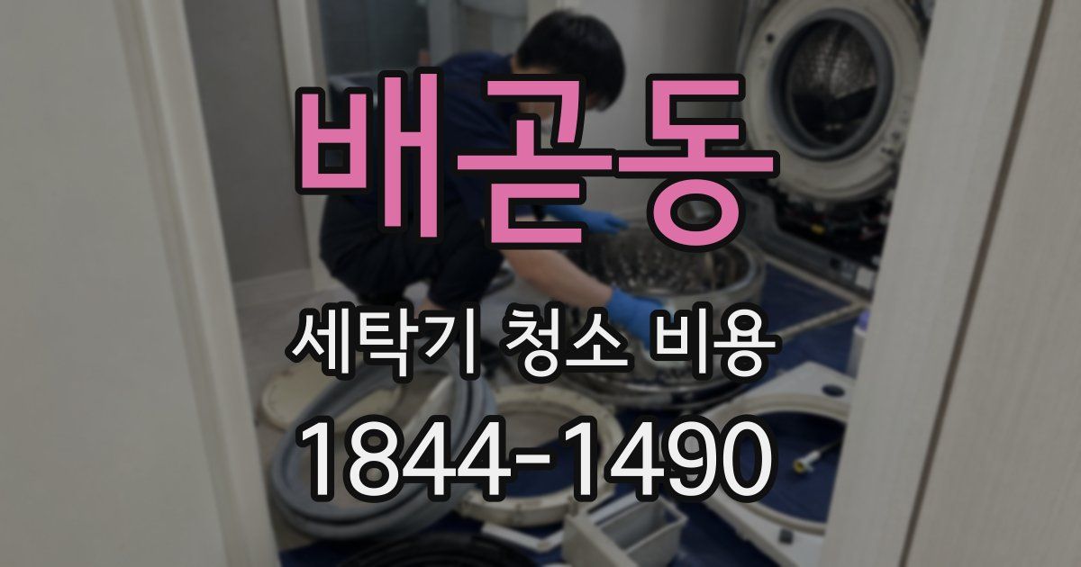 배곧동 세탁기 청소 비용
