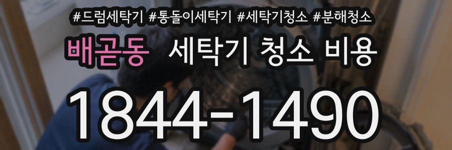 배곧동 세탁기 청소 비용