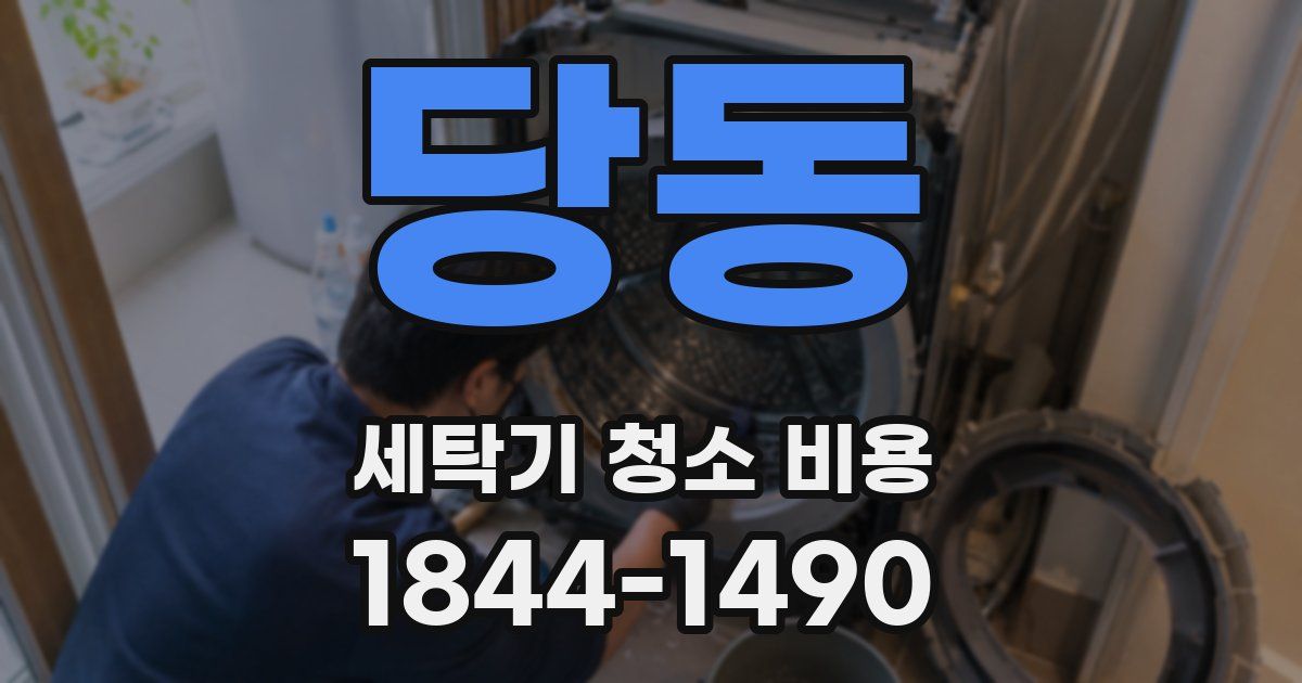 당동 세탁기 청소 비용