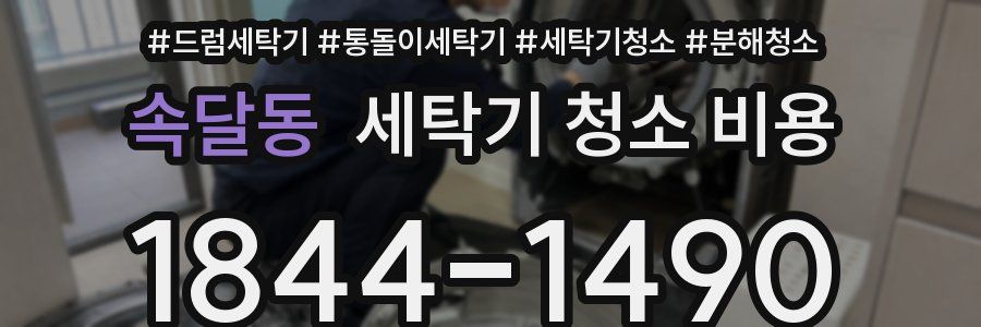 속달동 세탁기 청소 비용