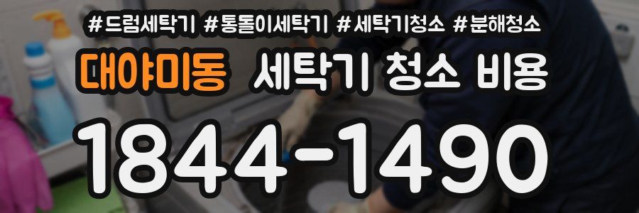 대야미동 세탁기 청소 비용