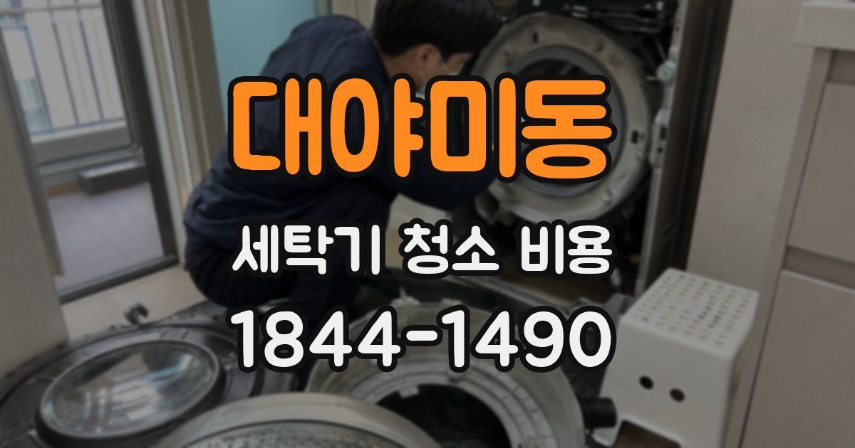 대야미동 세탁기 청소 비용
