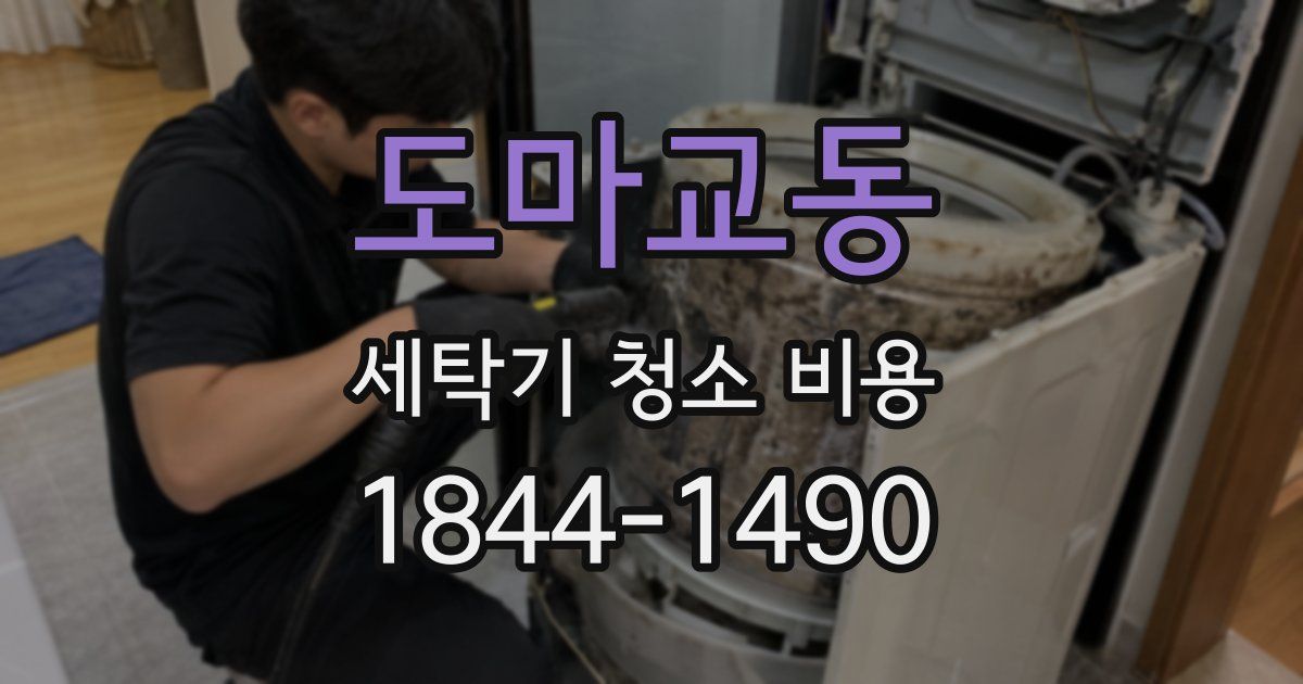도마교동 세탁기 청소 비용