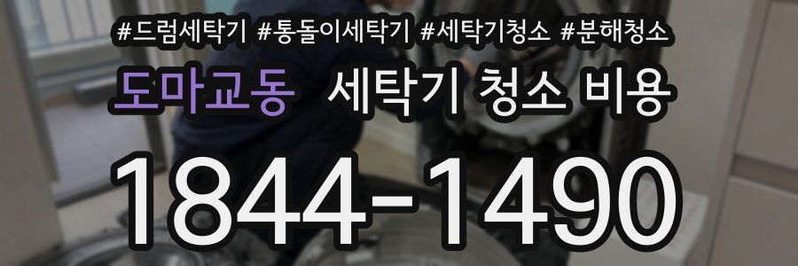 도마교동 세탁기 청소 비용