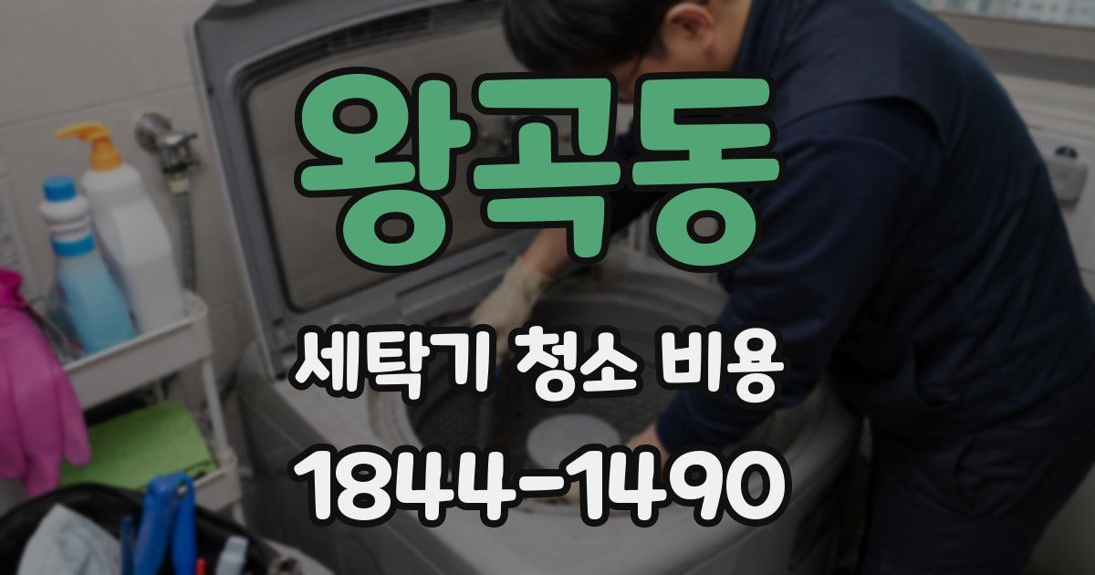왕곡동 세탁기 청소 비용
