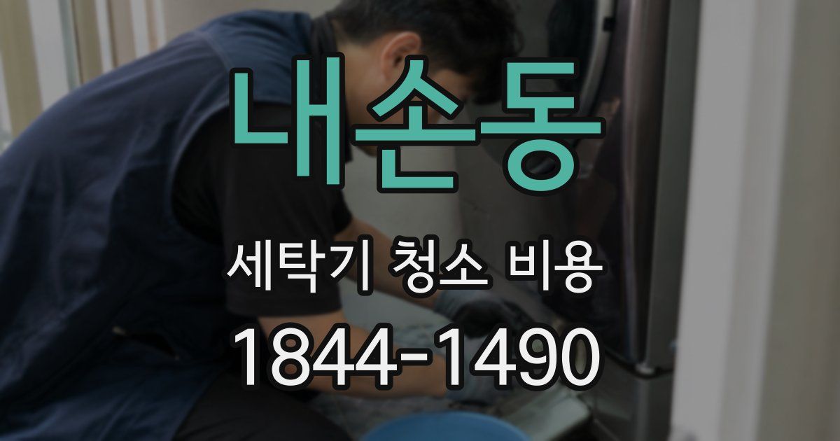 내손동 세탁기 청소 비용