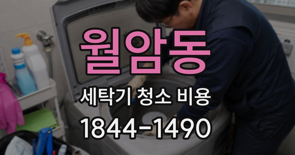월암동 세탁기 청소 비용
