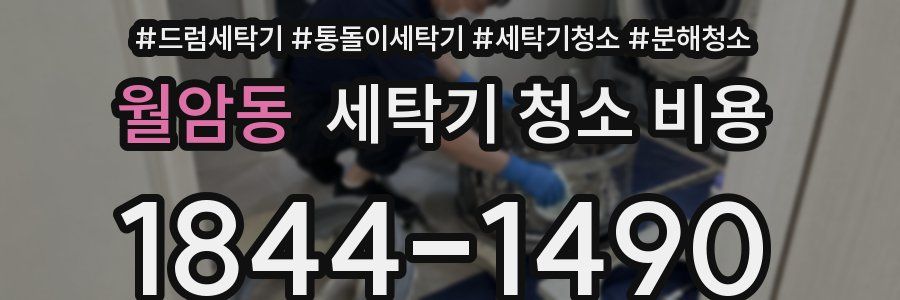 월암동 세탁기 청소 비용