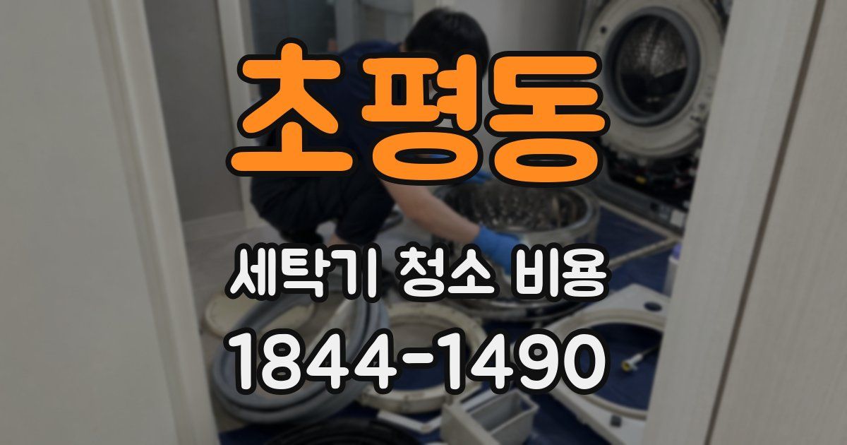 초평동 세탁기 청소 비용