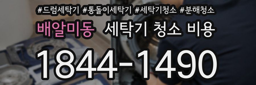 배알미동 세탁기 청소 비용