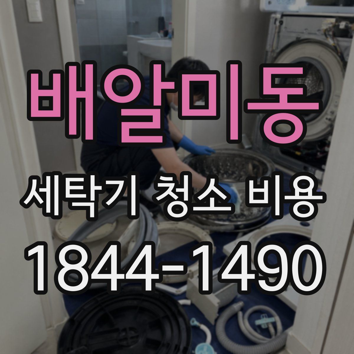 배알미동 세탁기 청소 비용