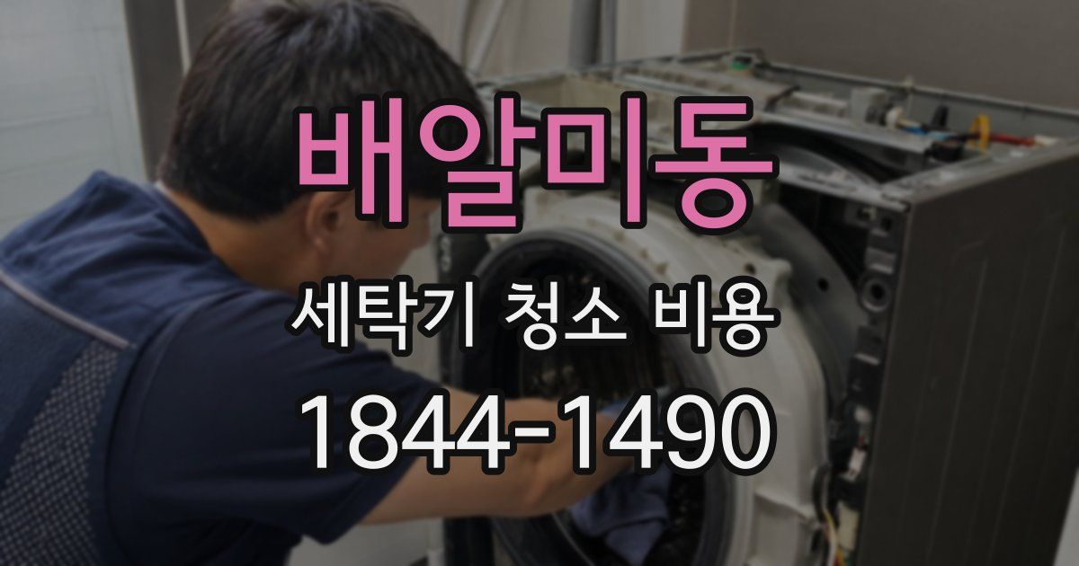 배알미동 세탁기 청소 비용