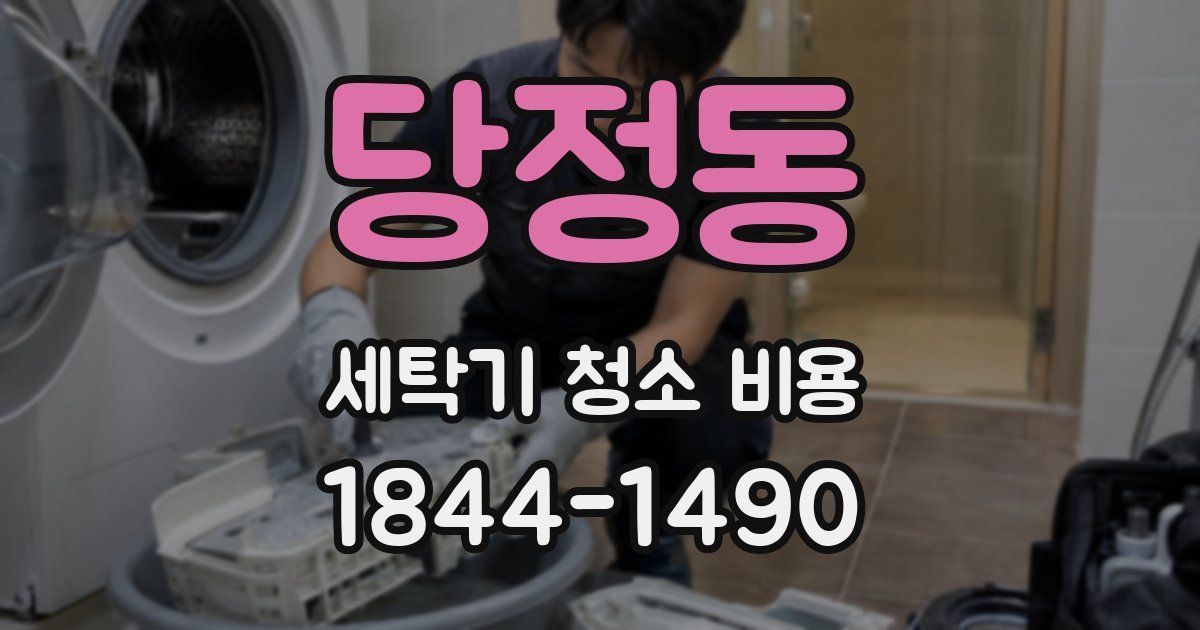 당정동 세탁기 청소 비용