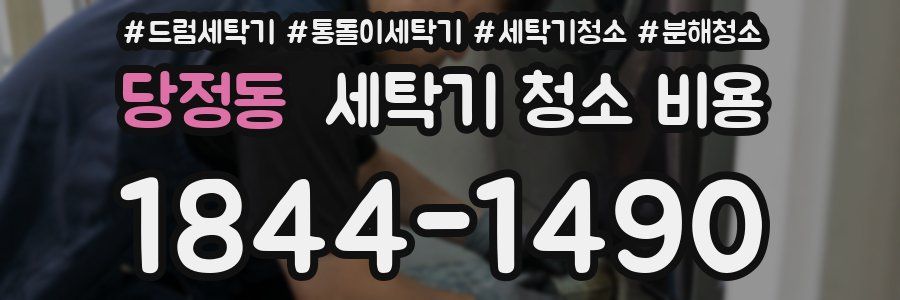 당정동 세탁기 청소 비용