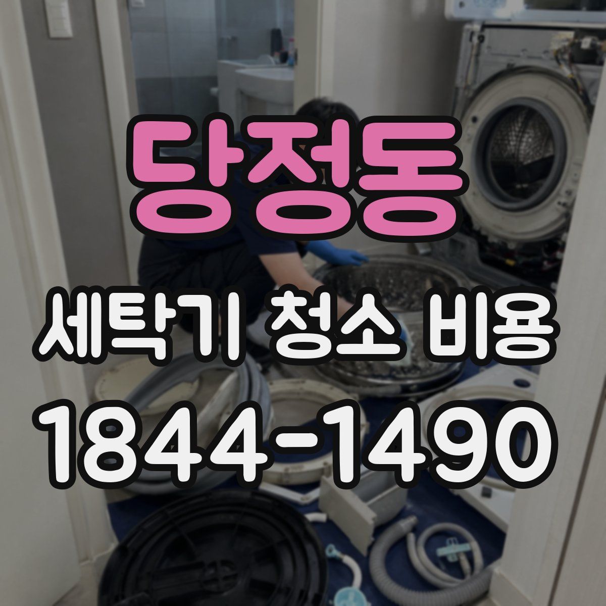 당정동 세탁기 청소 비용