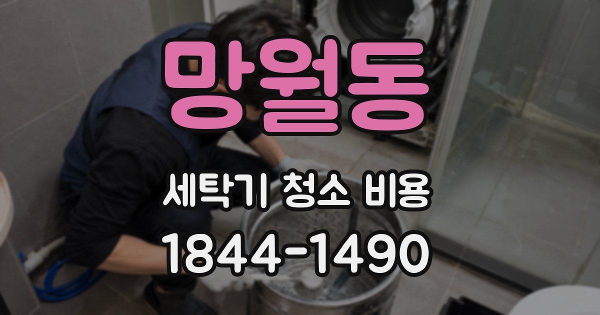 망월동 세탁기 청소 비용