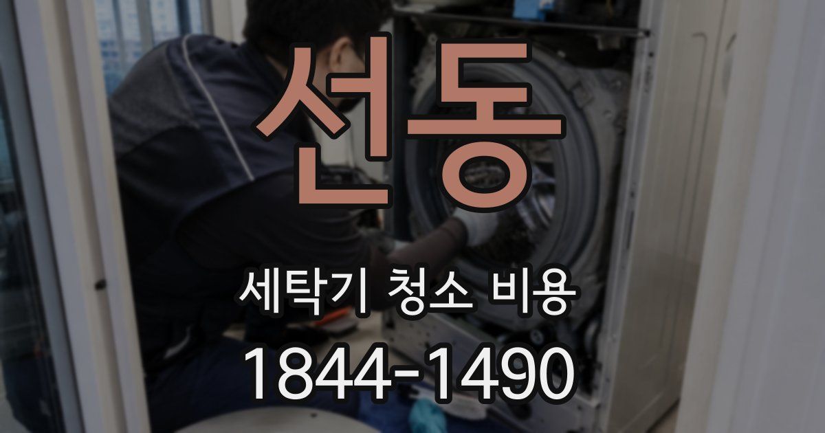 선동 세탁기 청소 비용