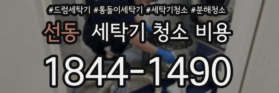 선동 세탁기 청소 비용