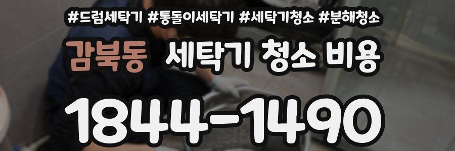 감북동 세탁기 청소 비용
