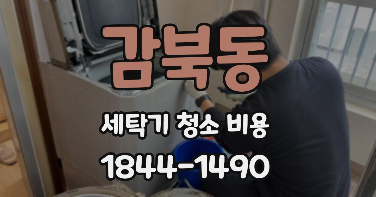 감북동 세탁기 청소 비용