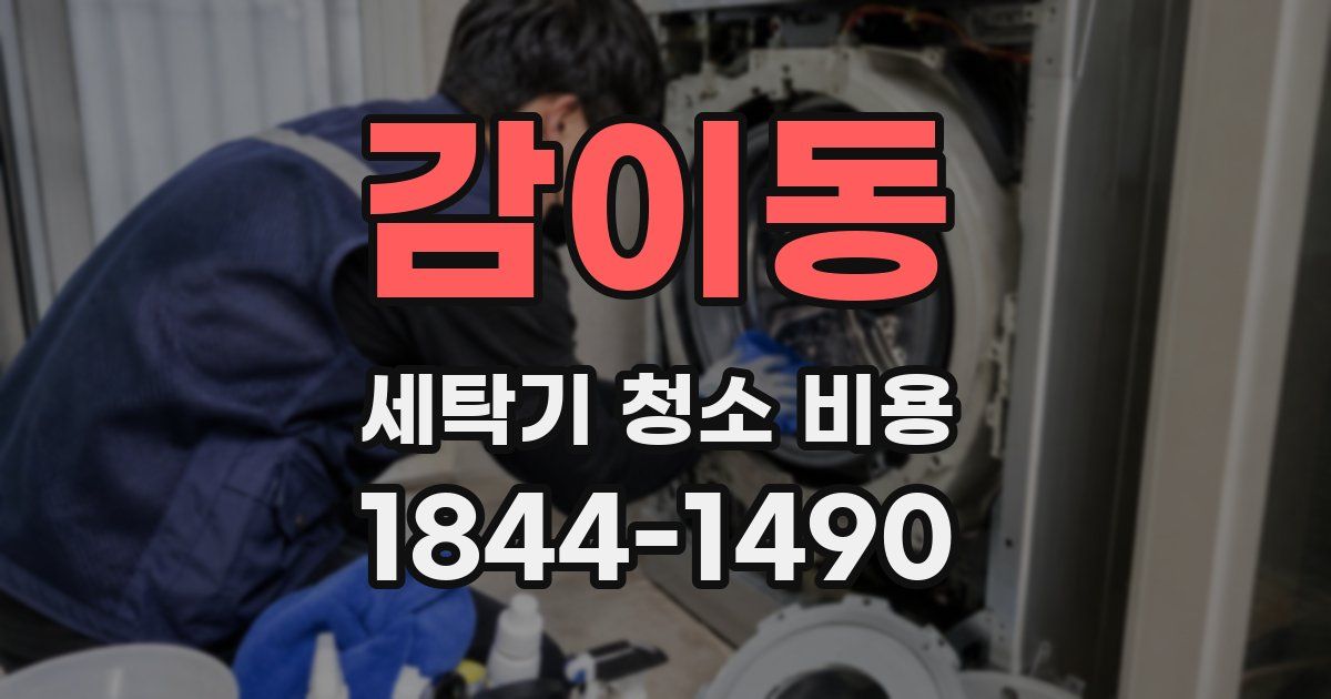 감이동 세탁기 청소 비용
