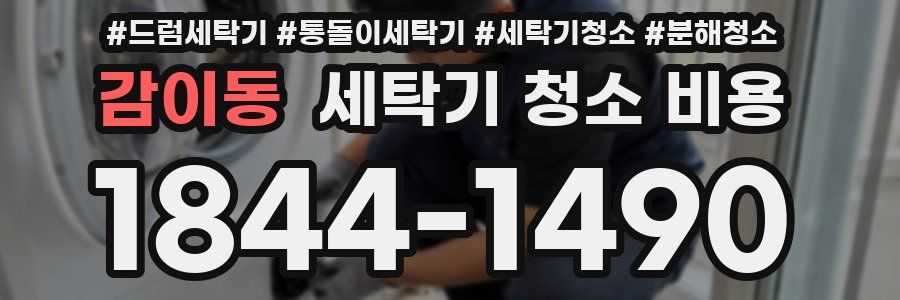 감이동 세탁기 청소 비용