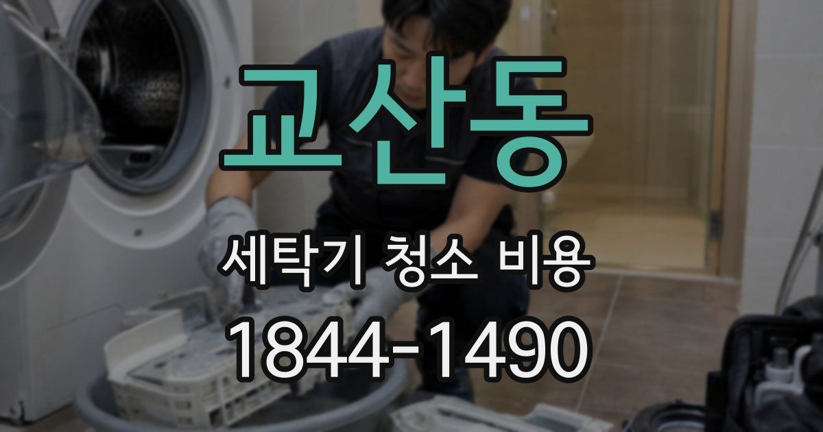 교산동 세탁기 청소 비용